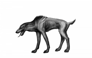 Soutěž – vyhlášení #10 bestie